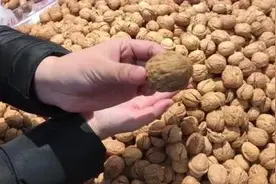 胸口碎西瓜算什么，徒手开核桃了解一下图片