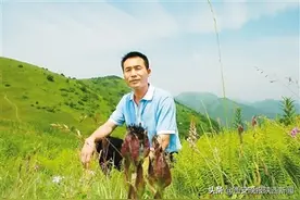蒋家坪：村里有个姑娘叫“小芳”图片