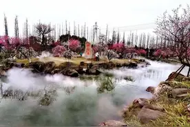 别了，问花村图片