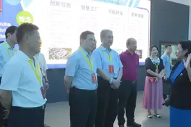 海南省第十三届全国人大代表专题调研组到洋浦调研 关心支持洋浦发展建设图片