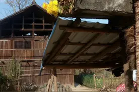想我的时候，请给我一碗白开水图片
