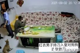 四川广元一男子酒后入室挥刀砍狗，知情人：狗已死亡，伤口可以看到骨头图片