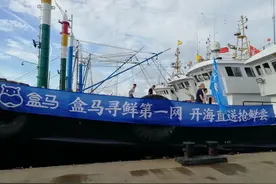 包船、包机、包车 开海梭子蟹直送成都盒区房图片