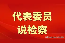 代表委员说检察丨杨帆、刘家奇、吴彦㛃：认罪认罚从宽制度一定会释放持久生命力图片