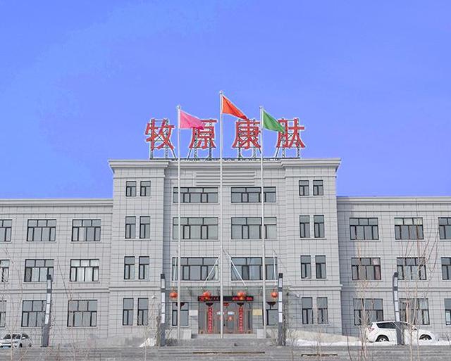 骨肽胶原蛋白肽功效 2026年骨肽胶原蛋白肽功效怎么样