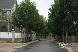 王珞丹拖欠工程款事件，还原事实真相图片