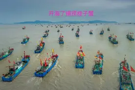 开海了，渔民却高兴不起来，梭子蟹才卖5元一斤，你吃到的多少钱图片
