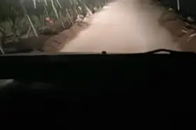 火龙果基地为什么晚上要开着灯图片