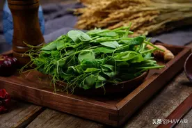 听说，几背篓豌豆尖可以换一头猪？图片