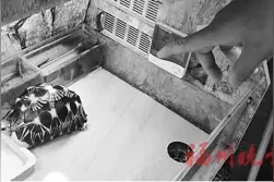 网售“忍者神龟”，这个团伙被福州警方捣毁图片