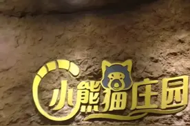 云南原始森林里，有一个仙境般的景区，住森林小木屋和动物做邻居图片