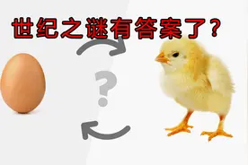 先有鸡还是先有蛋？答案早就揭晓了，你还不知道？图片