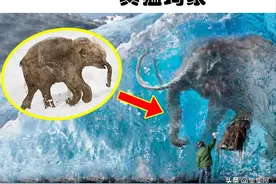 现代科学家打算运用技术复活的5大灭绝动物图片