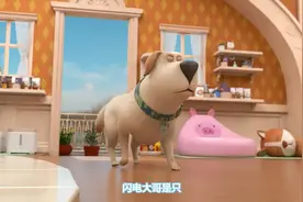 飞狗MOCO的小伙伴：人类的好朋友图片