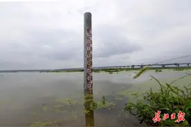 不到12小时，水位跳涨2米多，童家湖防汛大堤搭起“集装箱”值守点图片