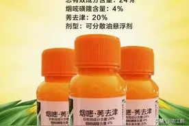 除草剂使用不是随心所欲，掌握好6个要点，除草高效安全经济友好图片