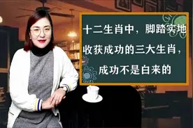 十二生肖中，脚踏实地收获成功的三大生肖，成功不是白来的视频封面