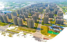 亭林：厚积薄发“智造”高图片