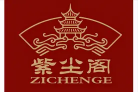 紫尘阁主——终南山隐传道医传承（大医派）图片