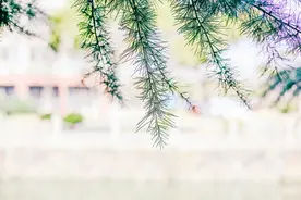 故事｜开学借不到学费，暗恋表白被拒：看大学女生如何化解难题图片