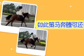 女子街头策马奔腾被警方约谈图片