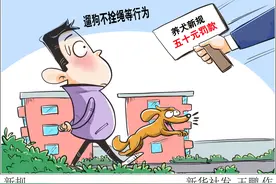 ​城市治理：管得了人，治不了狗？图片