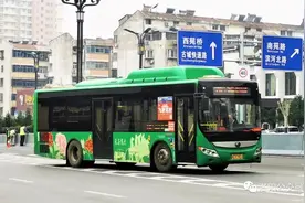 洛阳公交“特快专班”来了！“大站快车”助力快速通勤图片
