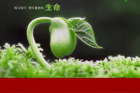 「德哥说健康」影响寿命长短的重要因素还有哪些？—道德健康图片