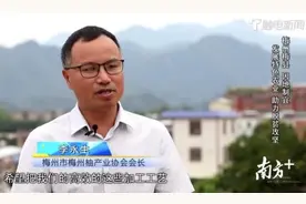 李永生：跳入农门，闯出事业“柚”一春图片