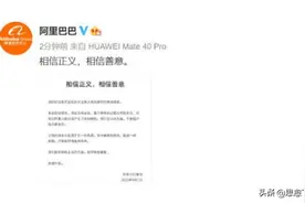 阿里事件中，王某文的妻子或将起诉周某，是护短还是另有所图图片