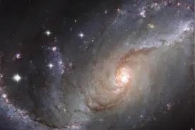 星座故事：双鱼座是爱与美的化身？图片