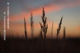 熬过去，不负自己，不负此生图片