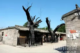 红色景点地道战遗址为啥值得看？图片