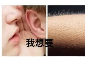 沙雕表情包，太逗了吧！果断搜藏了！图片