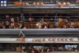 科学战“疫”丨科研攻关成果 守护百姓日常生活图片