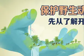 说到国家重点保护野生动物 除了狮子、老虎......还有它们图片