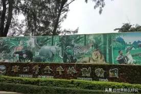 探访金牛岭动物园：海口人民的集体回忆，如今已经荒败不堪图片
