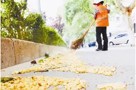 不用砍树，不用戴口罩了，华中农大包满珠成功为法国梧桐“退毛”图片