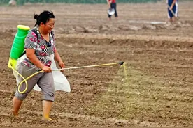 农药助剂品种很多，有机硅、植物油、矿物油，哪个效果好？图片