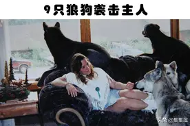 真实发生在世界上的8只杀害或吃掉主人的动物图片
