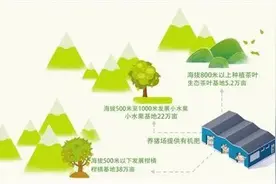 万州曾经的满坡荒变成漫山绿，好生态还能富口袋图片