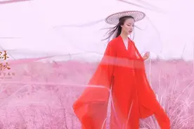小说：穿越山寨，我当上了幼儿园园长图片