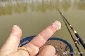 如何让出口更真实？谈黑坑偷驴时浮漂的选择和调钓策略图片