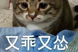 精彩~马兰花婚后迟迟未孕的内幕~（三）图片