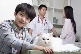 儿童尿急、尿痛，吃左氧氟沙星症状改善，医生一句话让家长后怕图片