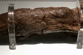 迄今为止最大的人类粪便，长约20厘米，科学家：和宝石一样珍贵图片