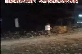 破案了！河南邓州飞蛾大爆发？原来是朝生暮死的蜉蝣图片