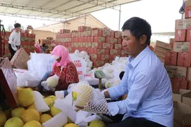 辰颐物语：让民勤蜜瓜“触网”销往全国各地图片