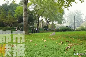 美丽秋景！大慈恩寺遗址公园赏银杏正当时图片