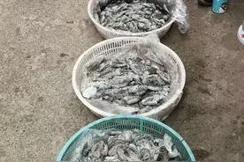 床车出行，第一次在车里煮饭什么感觉？图片